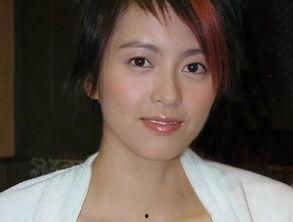 女明星合成打包,女明星合成打包，揭秘幕后造星秘籍