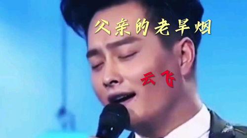 歌曲父亲视频,重温经典歌曲父亲背后的感人故事